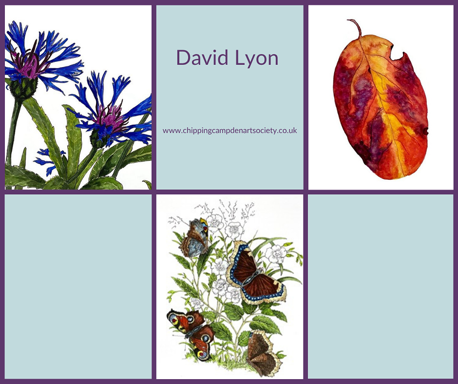 David Lyon gallery 