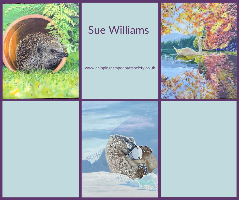 Sue Williams gallery .png