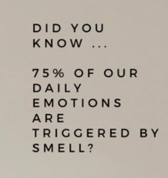 Smell
