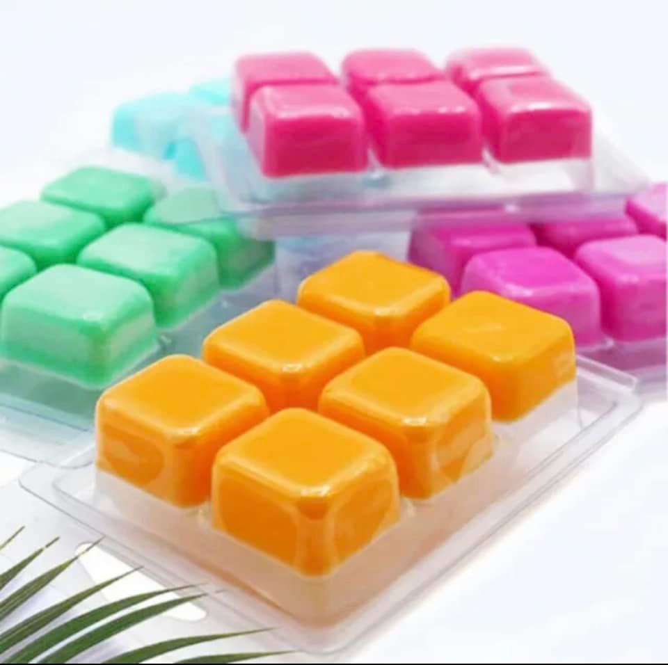 6 Cavity Wax Tart Clamshell