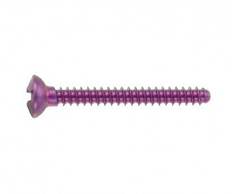 Micro-Screws, Cross, ?1, 2mm, 13mm, 10 pcs - 68-112-013