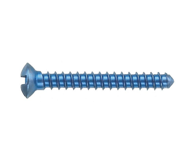 Micro-Screws, Cross, ?1, 4mm, 13mm, 10 pcs - 68-114-013