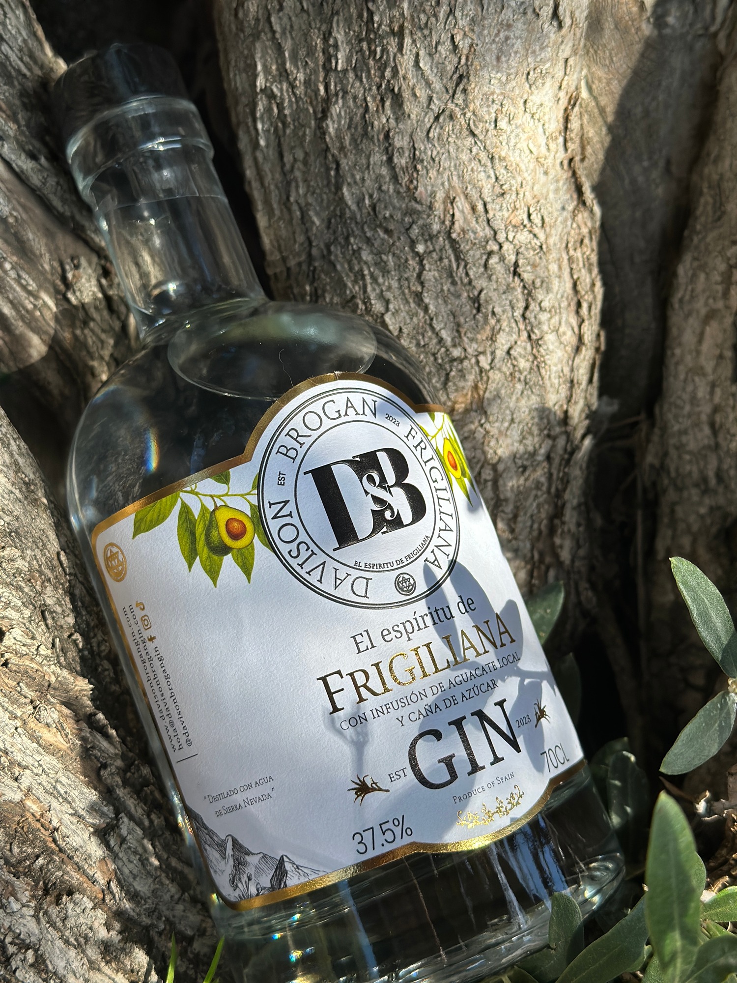Frigiliana Gin