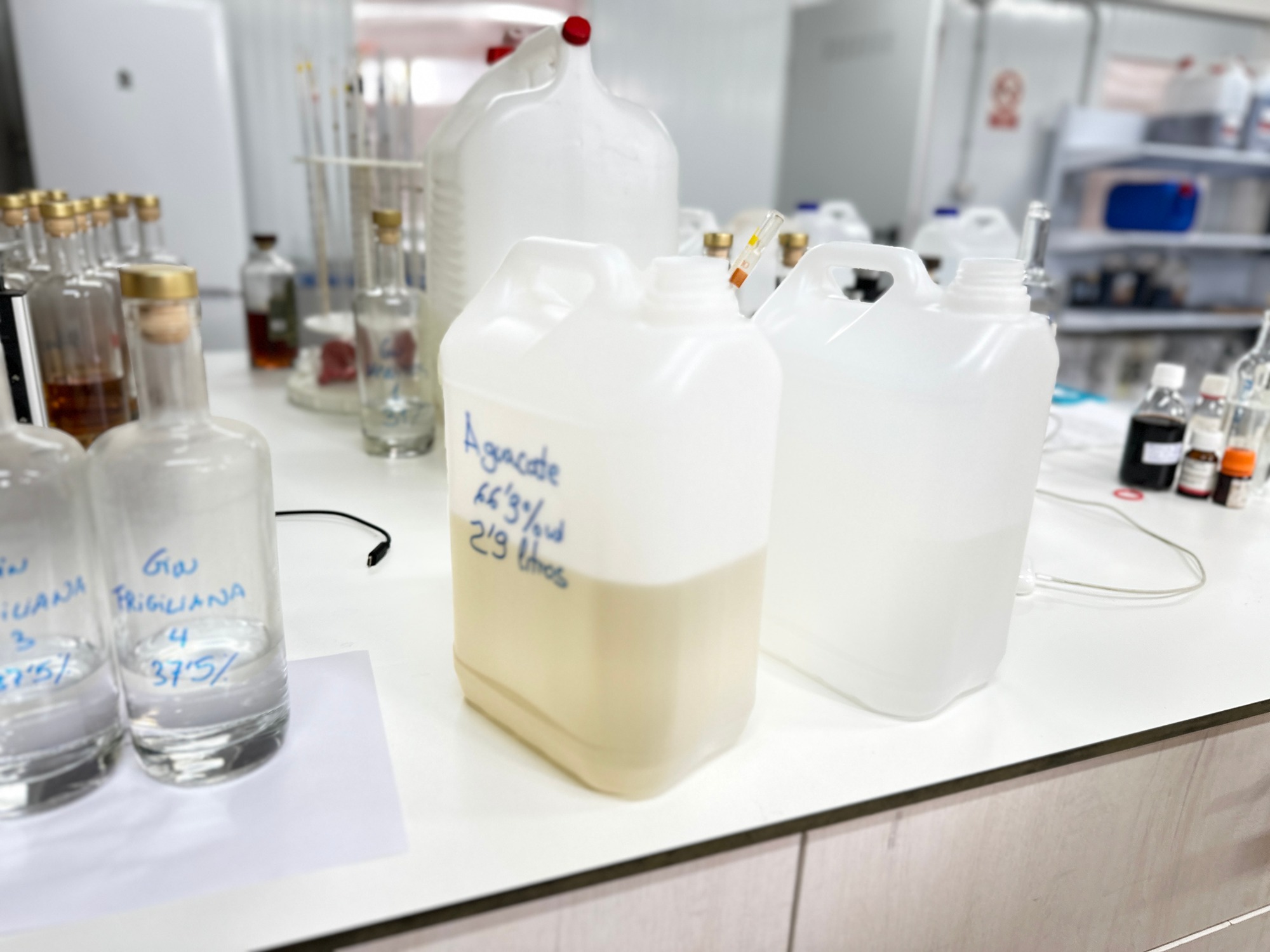 sugar cane distillation for Frigiliana