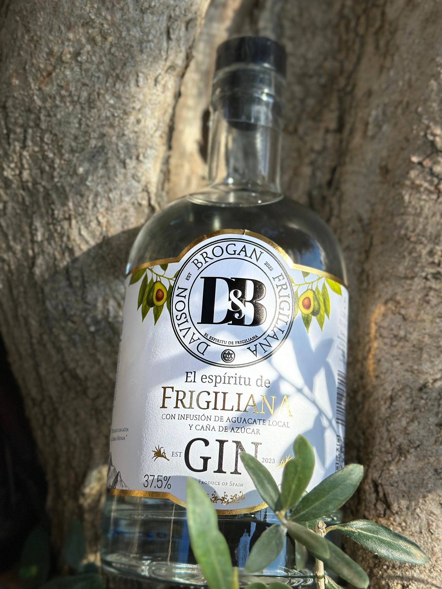 Frigiliana avocado gin bottle