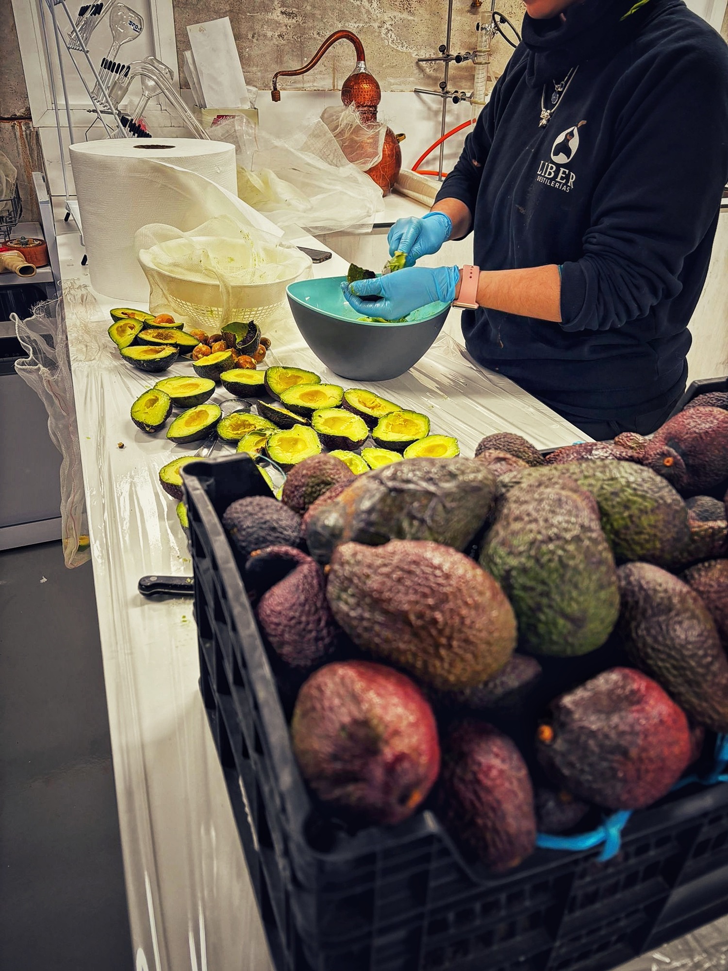 Whole and halved organic avocados from Frigiliana, used to create the smooth and creamy texture of Davison & Brogan Gin