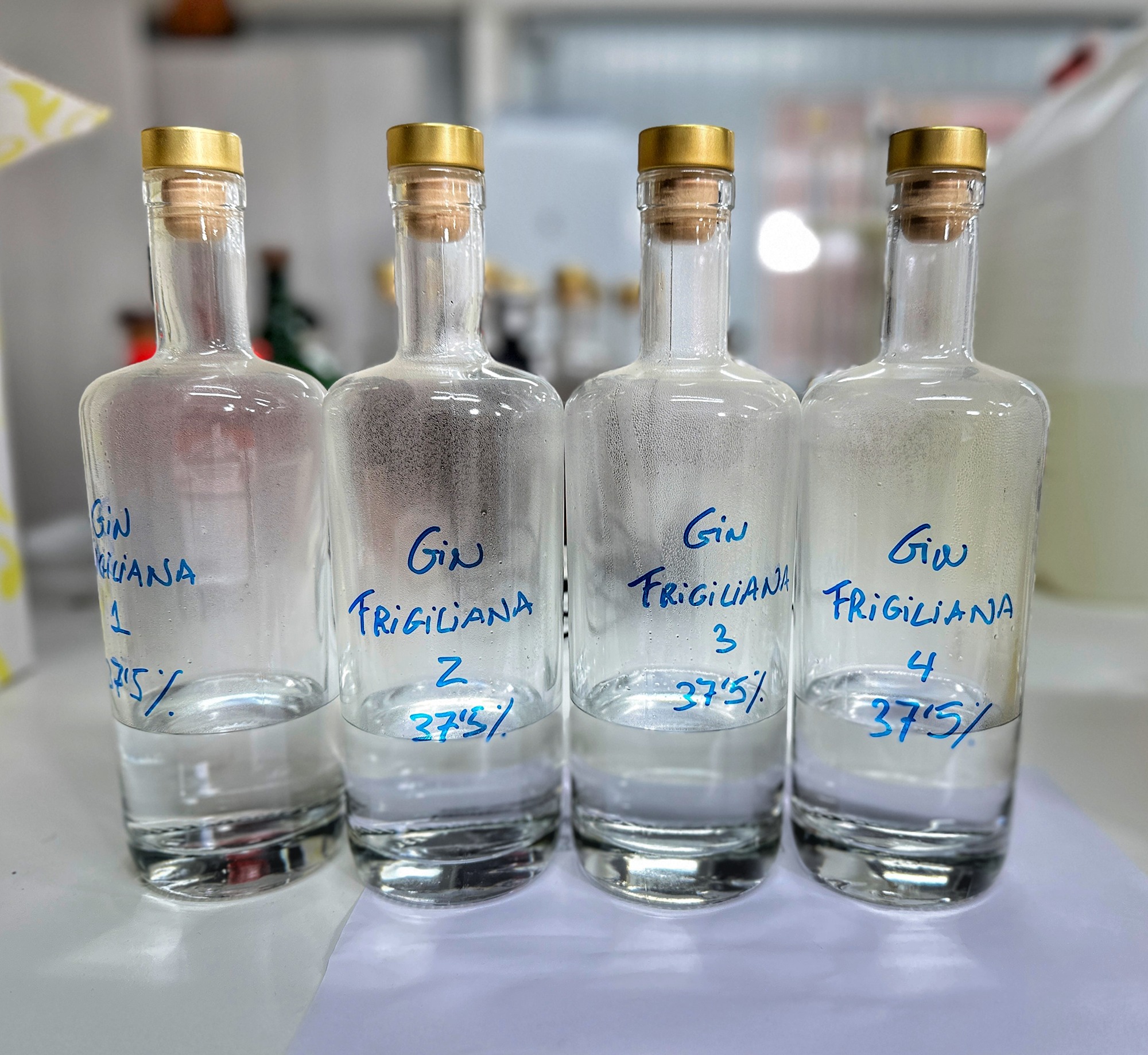 Gin distillation process for D&B Frigiliana gin