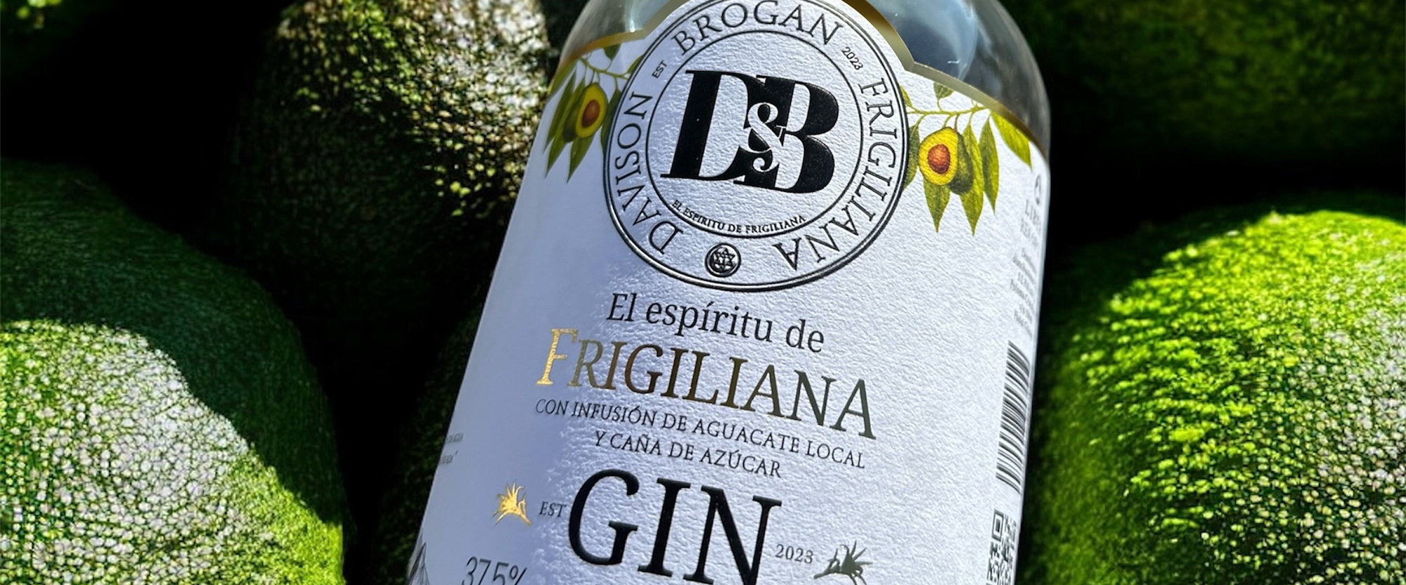 Frigiliana avocado premium gin Spain