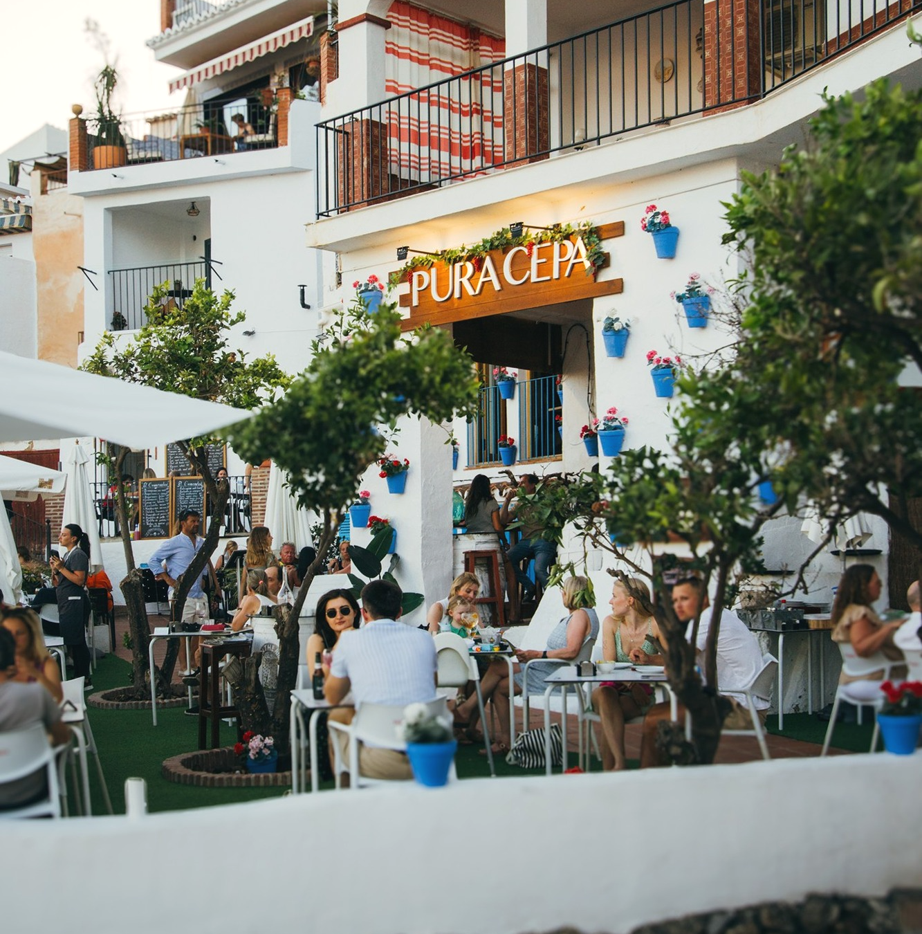 Pura cepa gin bar Frigiliana