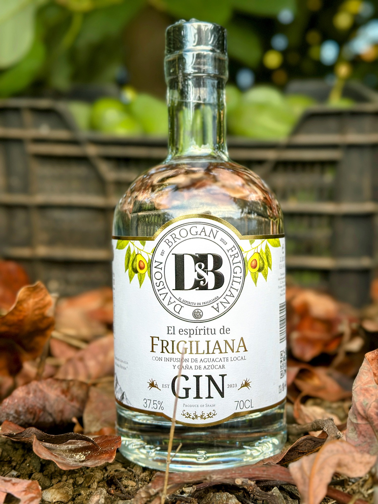 A bottle of Davison & Brogan Gin next to fresh organic avocados from the Frigiliana valley.