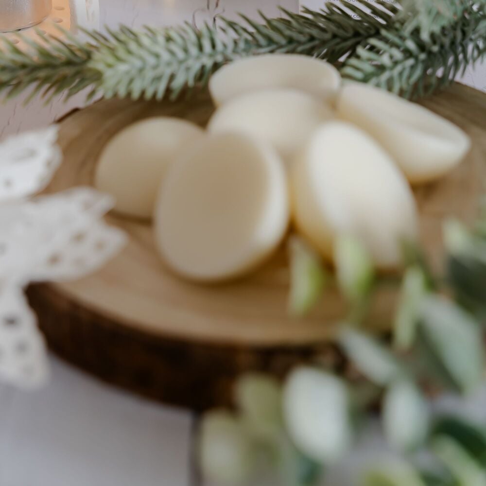 Xmas Tree Botanical Wax Melts