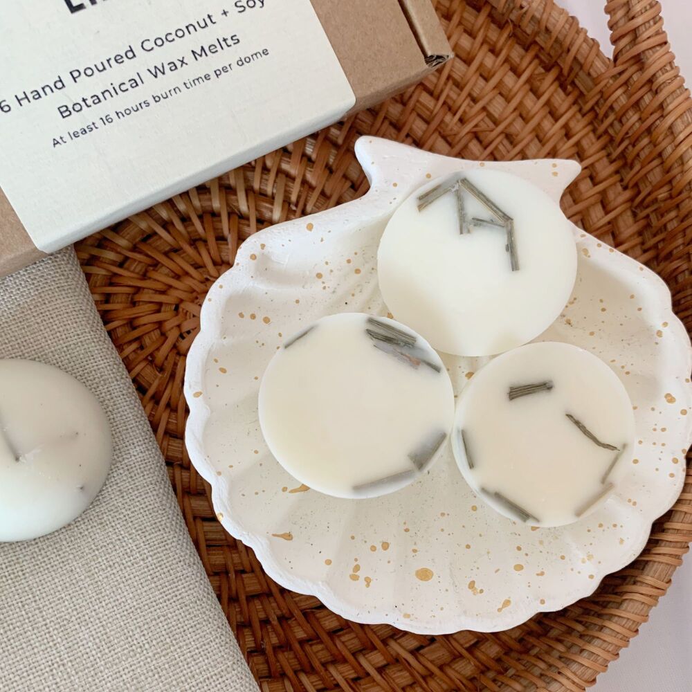 Coconut Lime Coconut & Soy Botanical Wax Melts