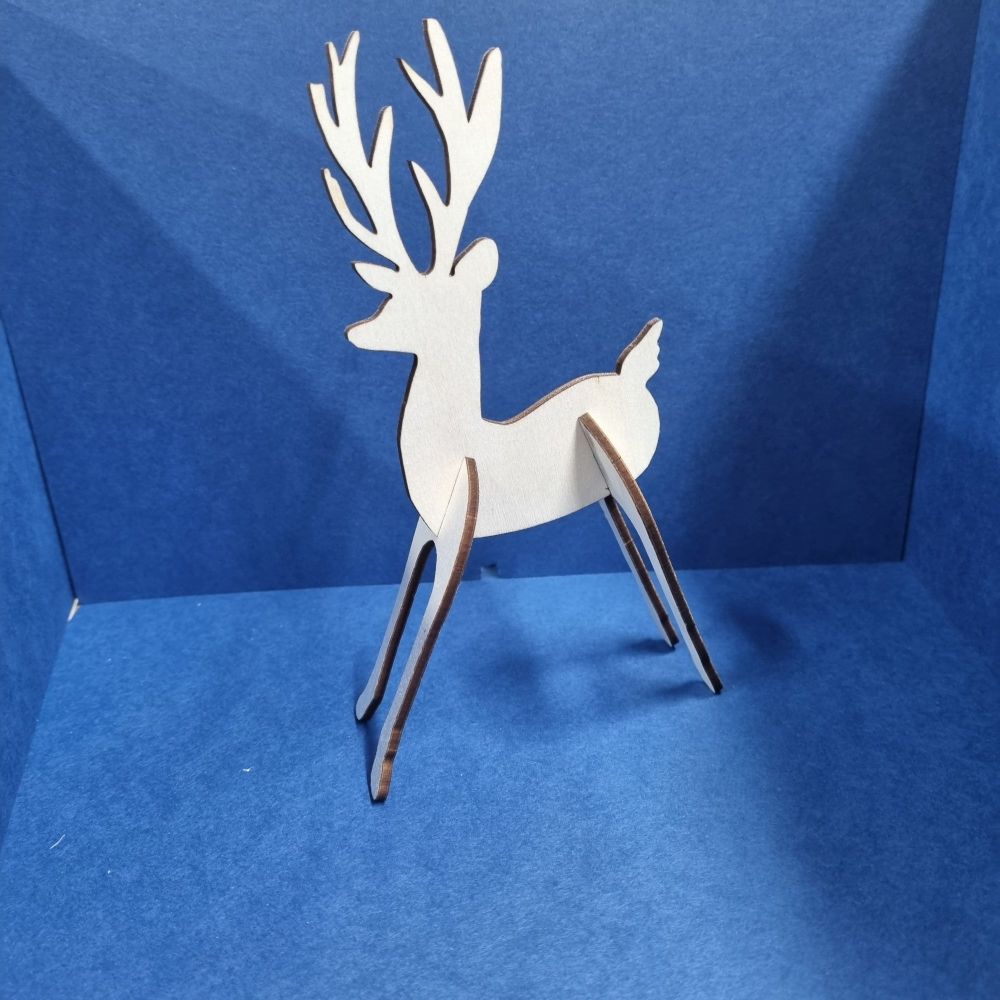 Reindeer