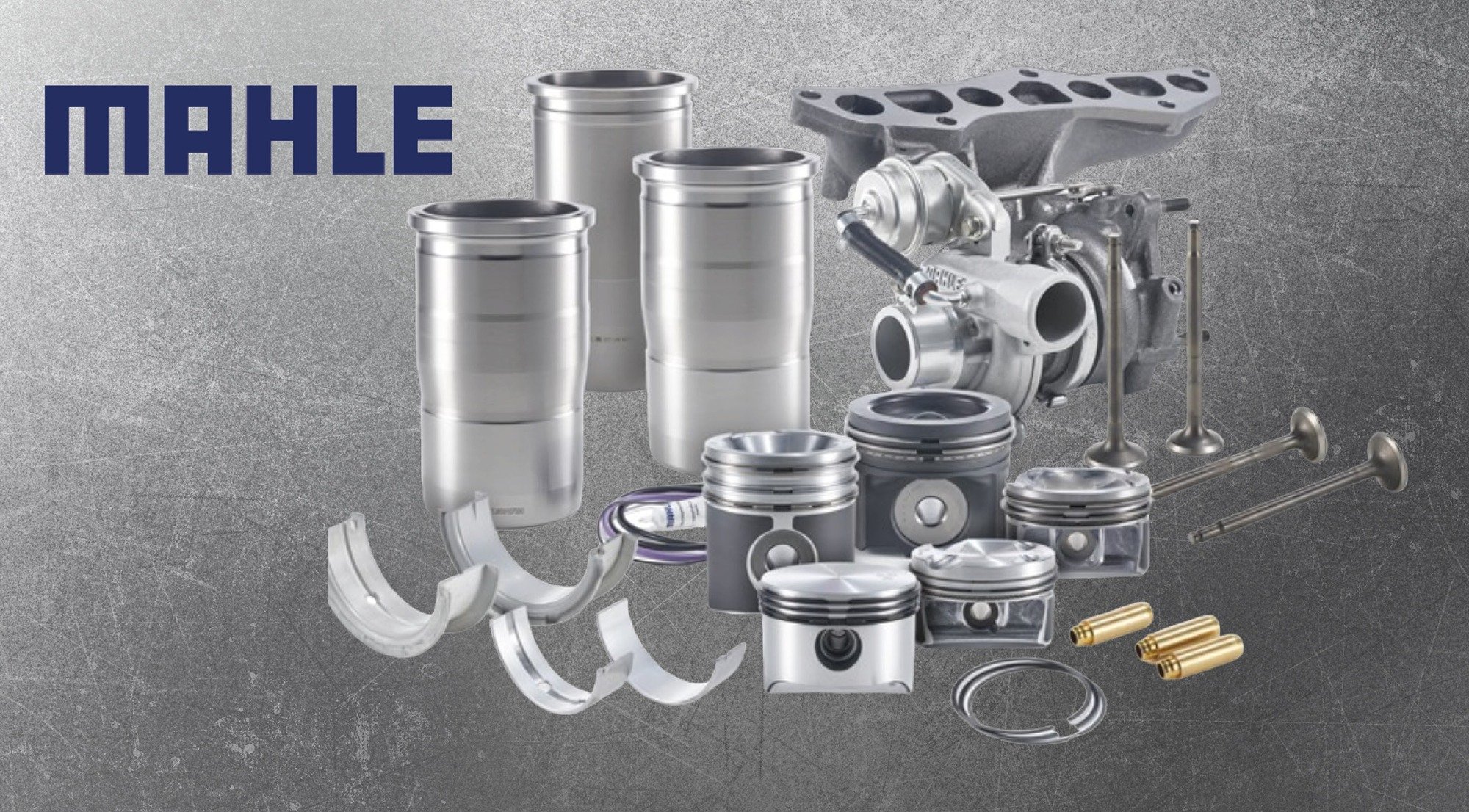 MAHLE Small Engine Parts and Products Australia