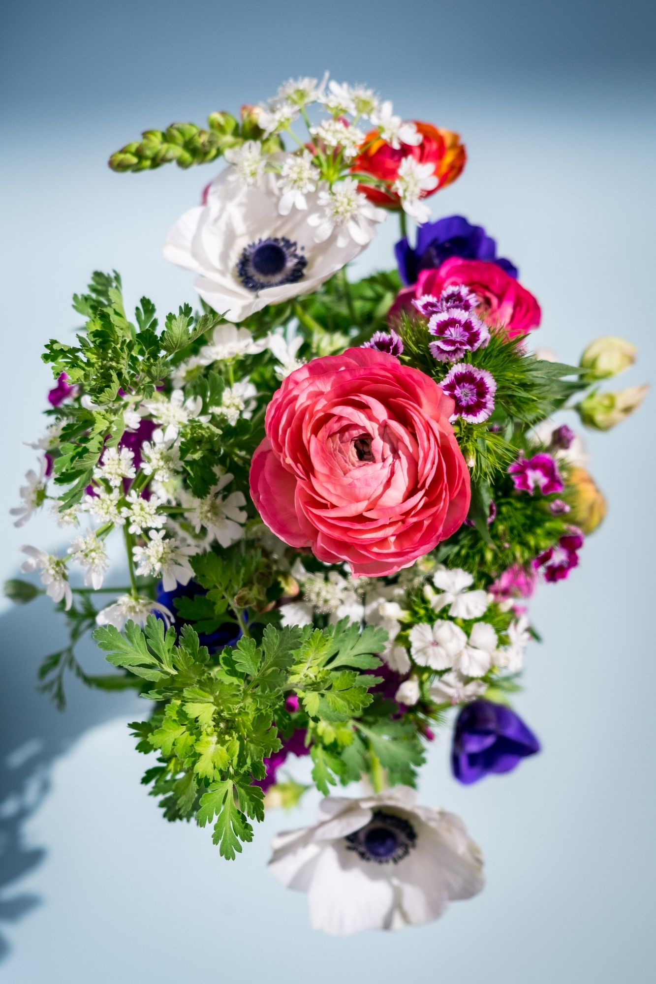 A fresh bouquet of ranunculus, anenomes, sweet william and greenery.