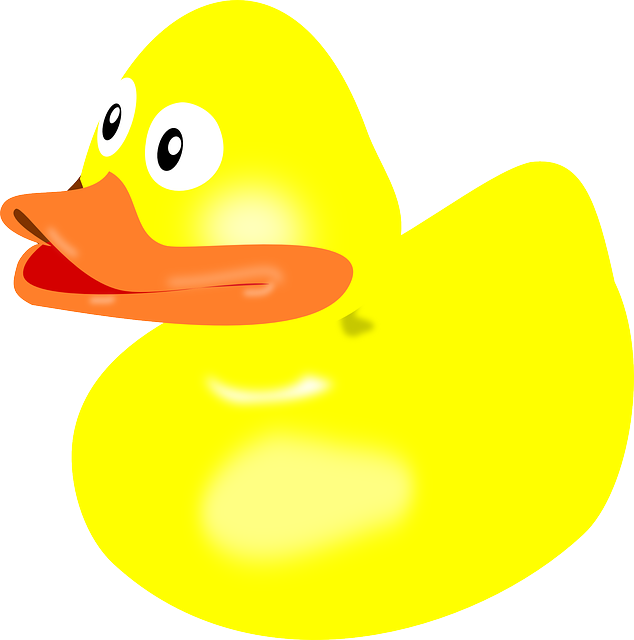 Duck 1