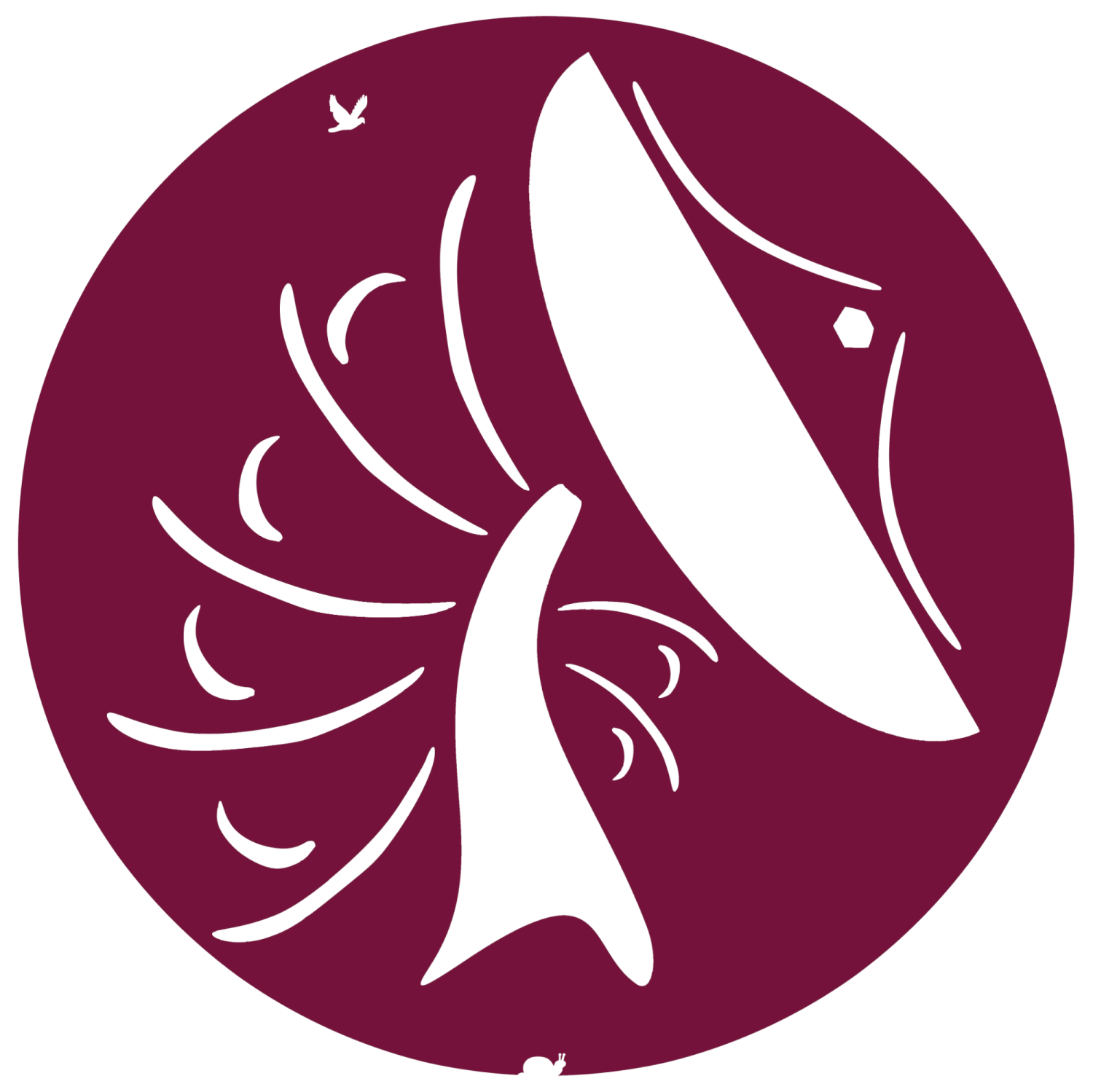 about-us