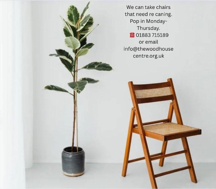 chair and plant