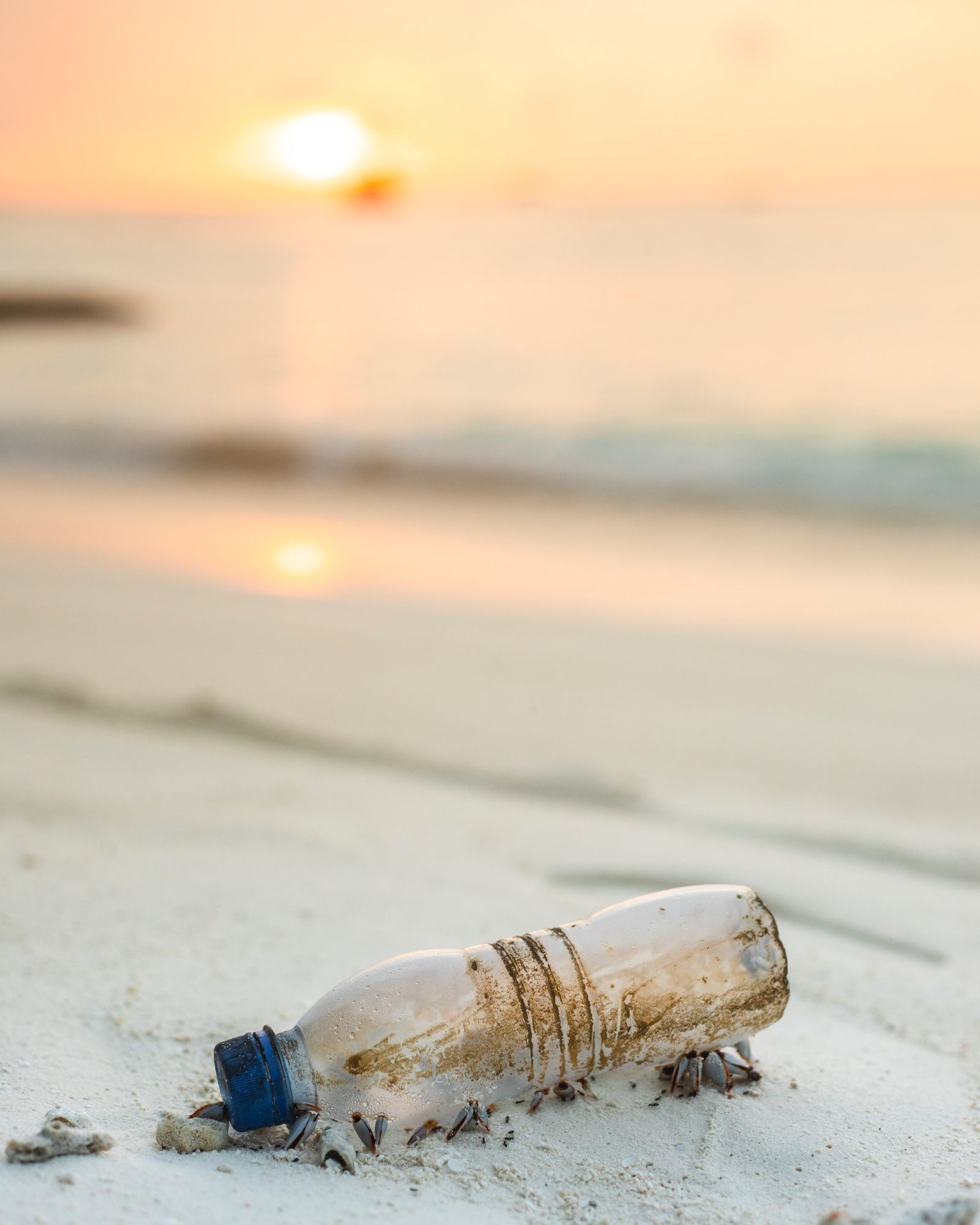 Plastic bottle litter washed up on beach