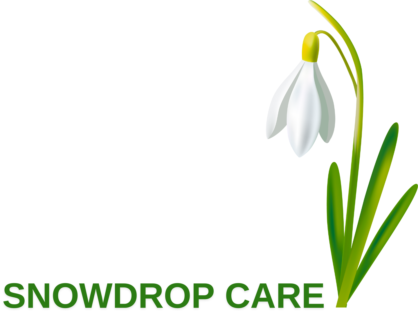 Snowdrop Care logo