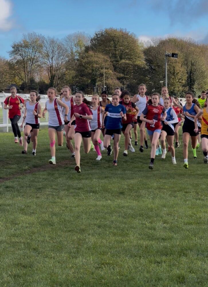 051f717d-be02-46ad-851b-1f72e77a8883