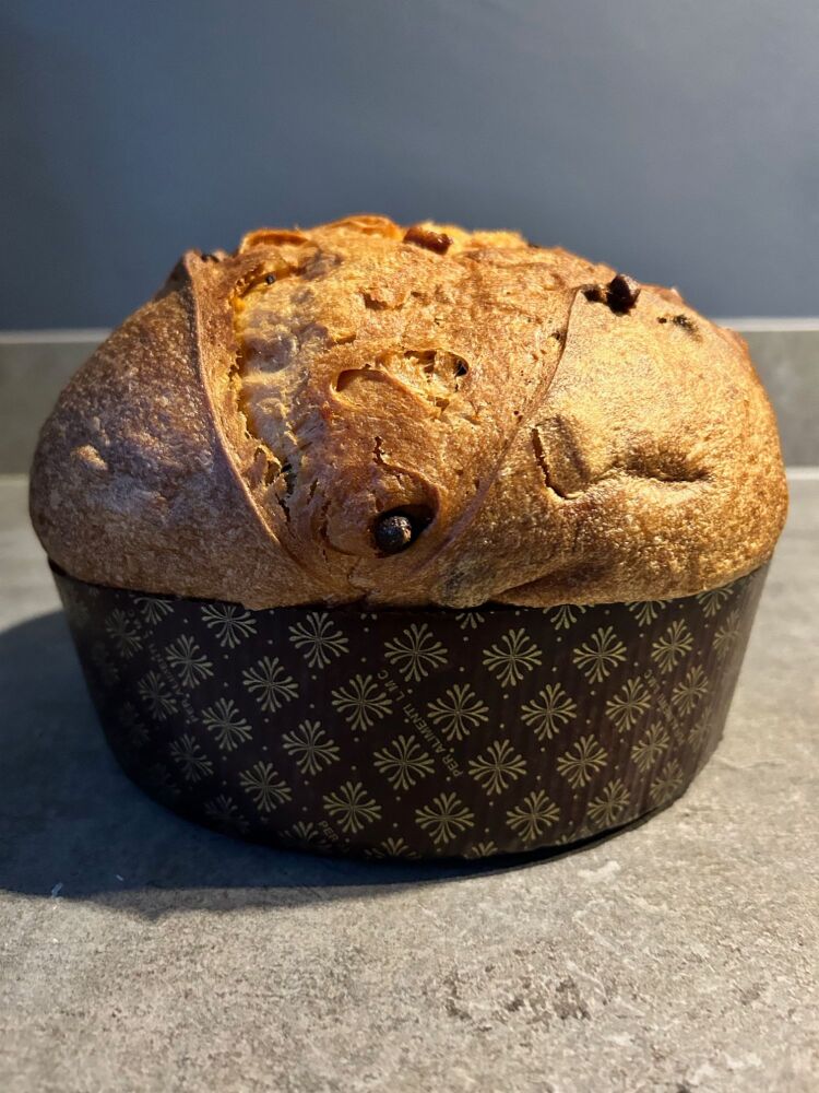 Panettone - Classico, 500g