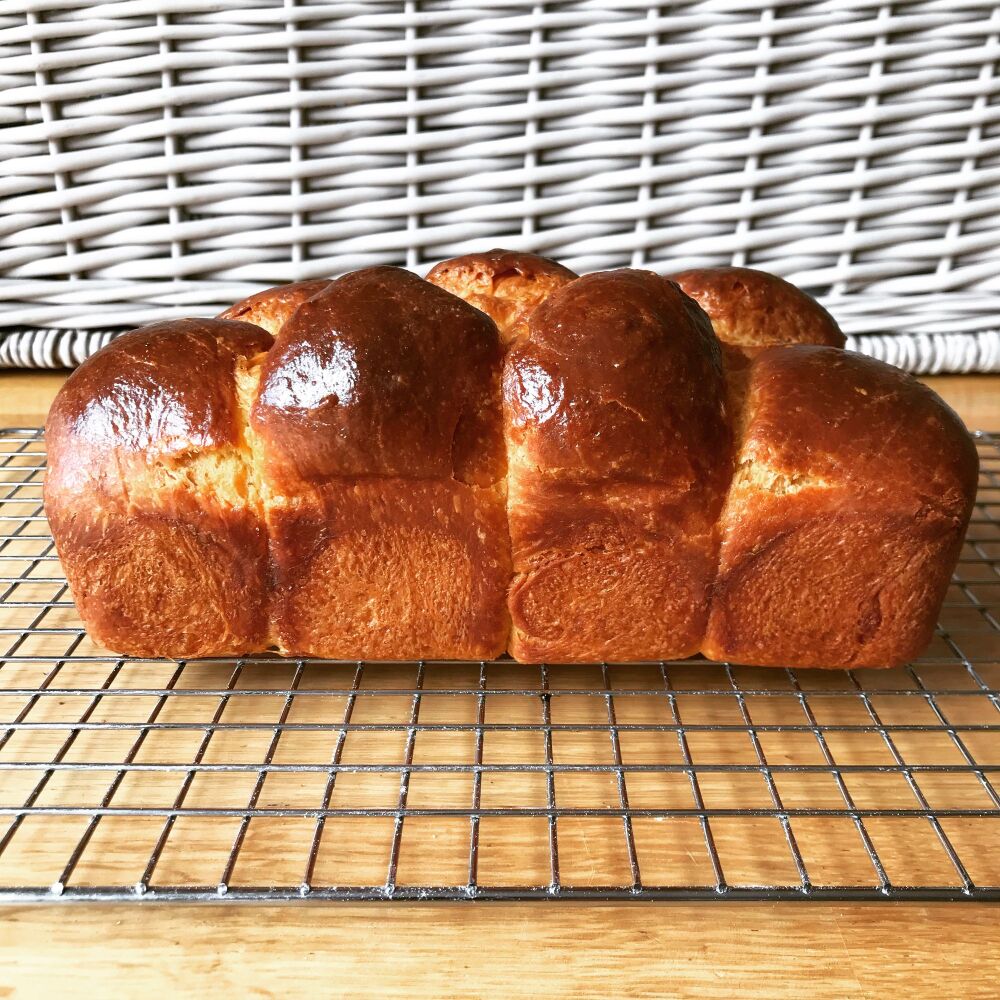 Brioche