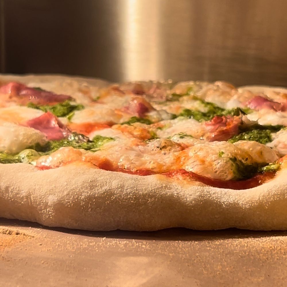 Sourdough Pizza Dough