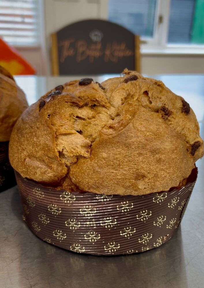 Chocolate Panettone