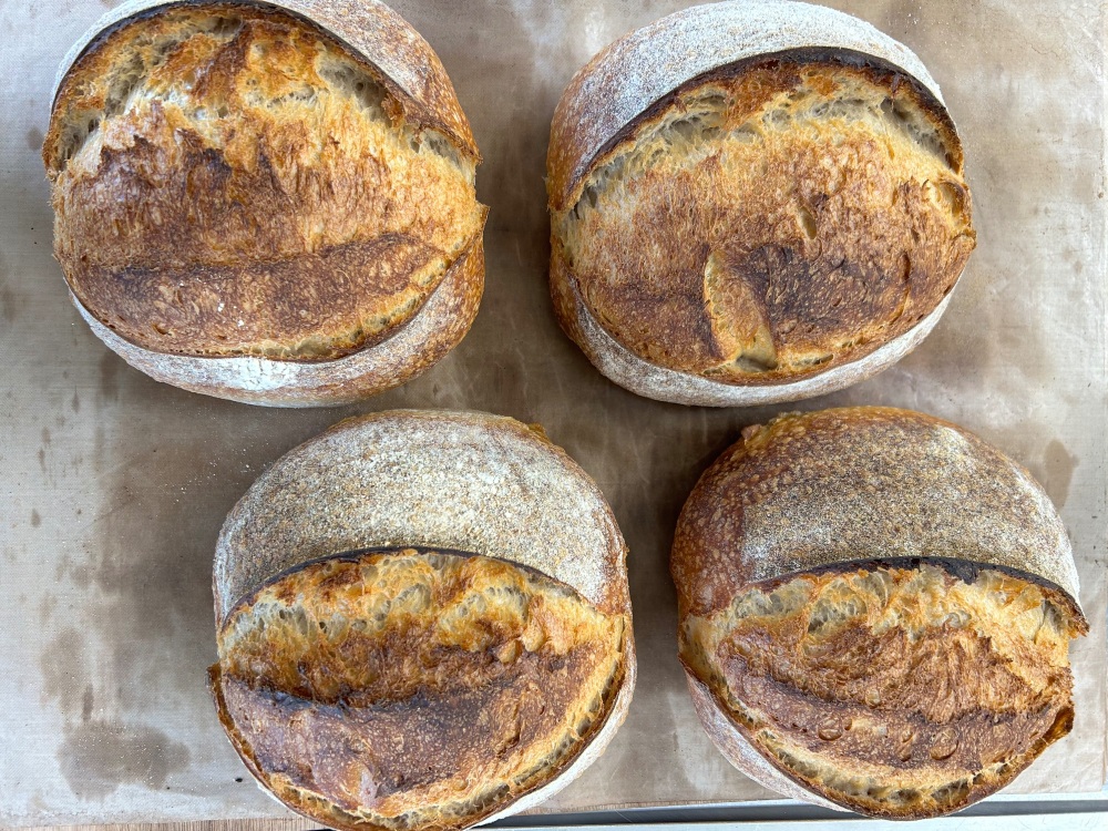 Sourdough Workshop: Understand the Basics, 13 January 2026