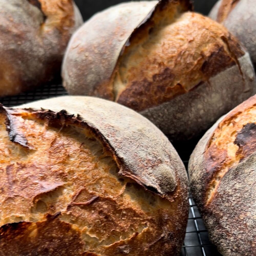 Sourdough Workshop - Understand the Basics: 21st March 2026