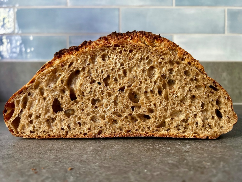 House Sourdough - Unfortified Flour