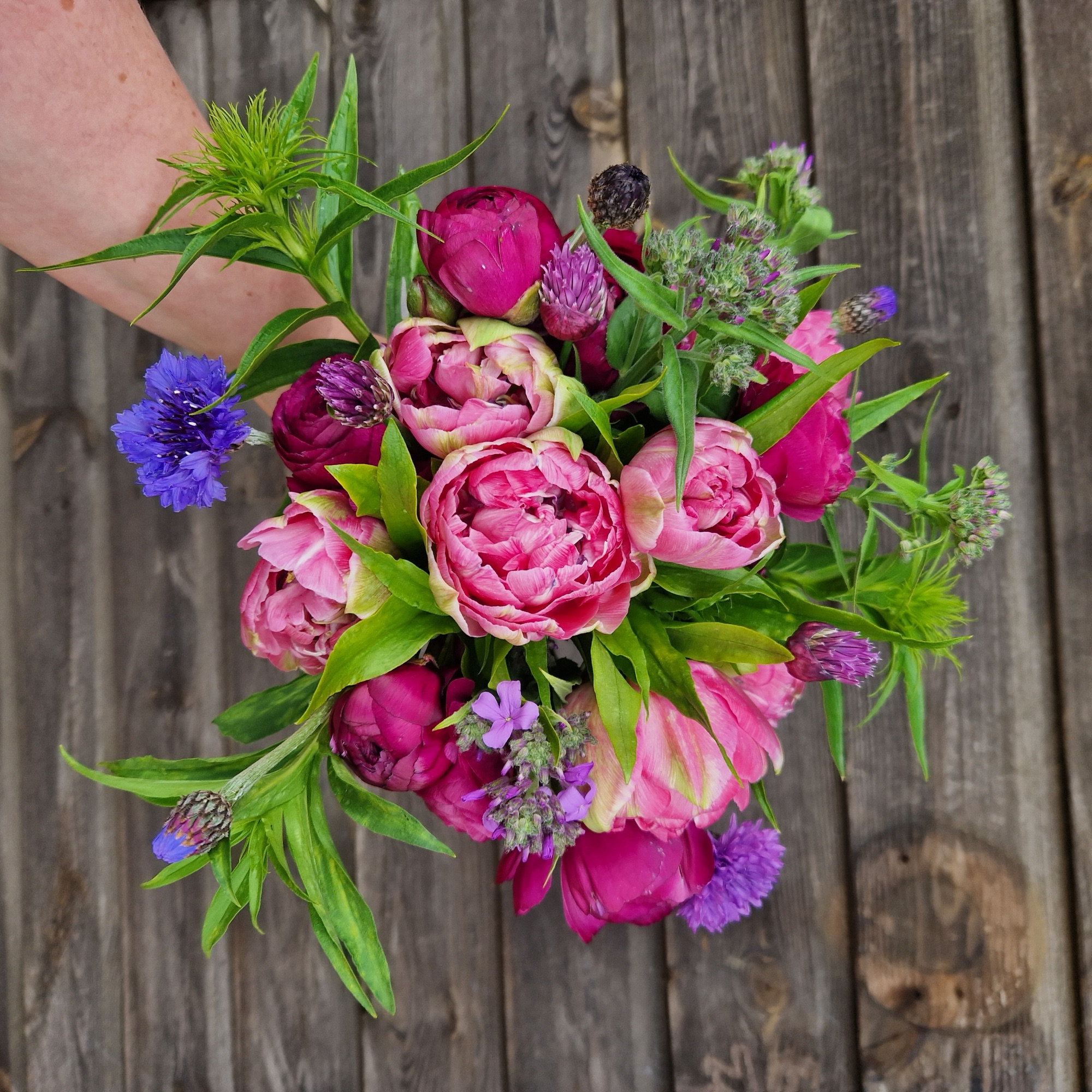 Big Field Flowers 2.jpg