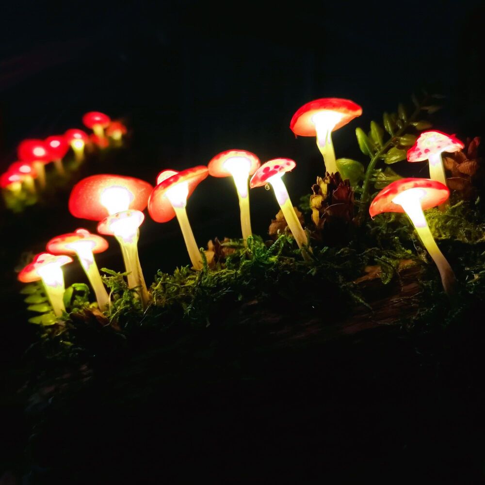 Magical Light-up Mushroom Log Workshop