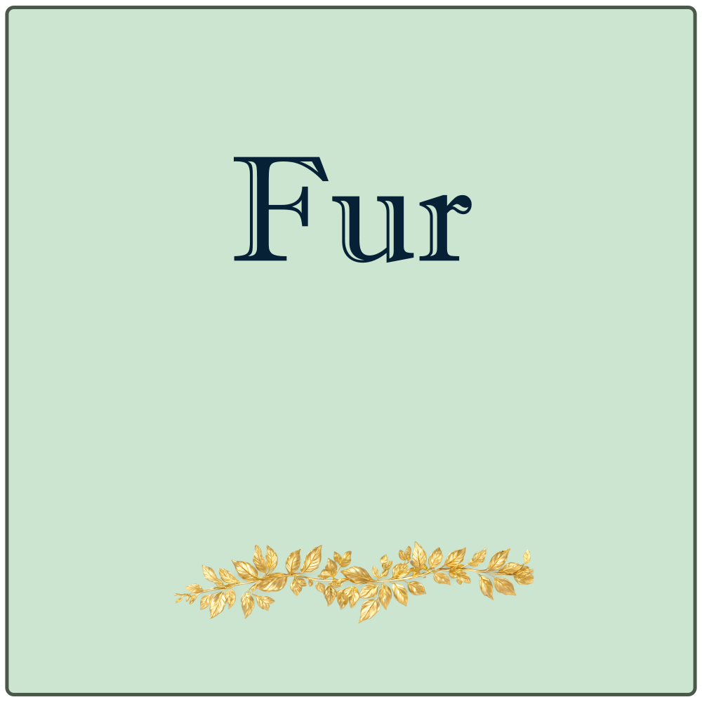 <!-- 010 -->Fur