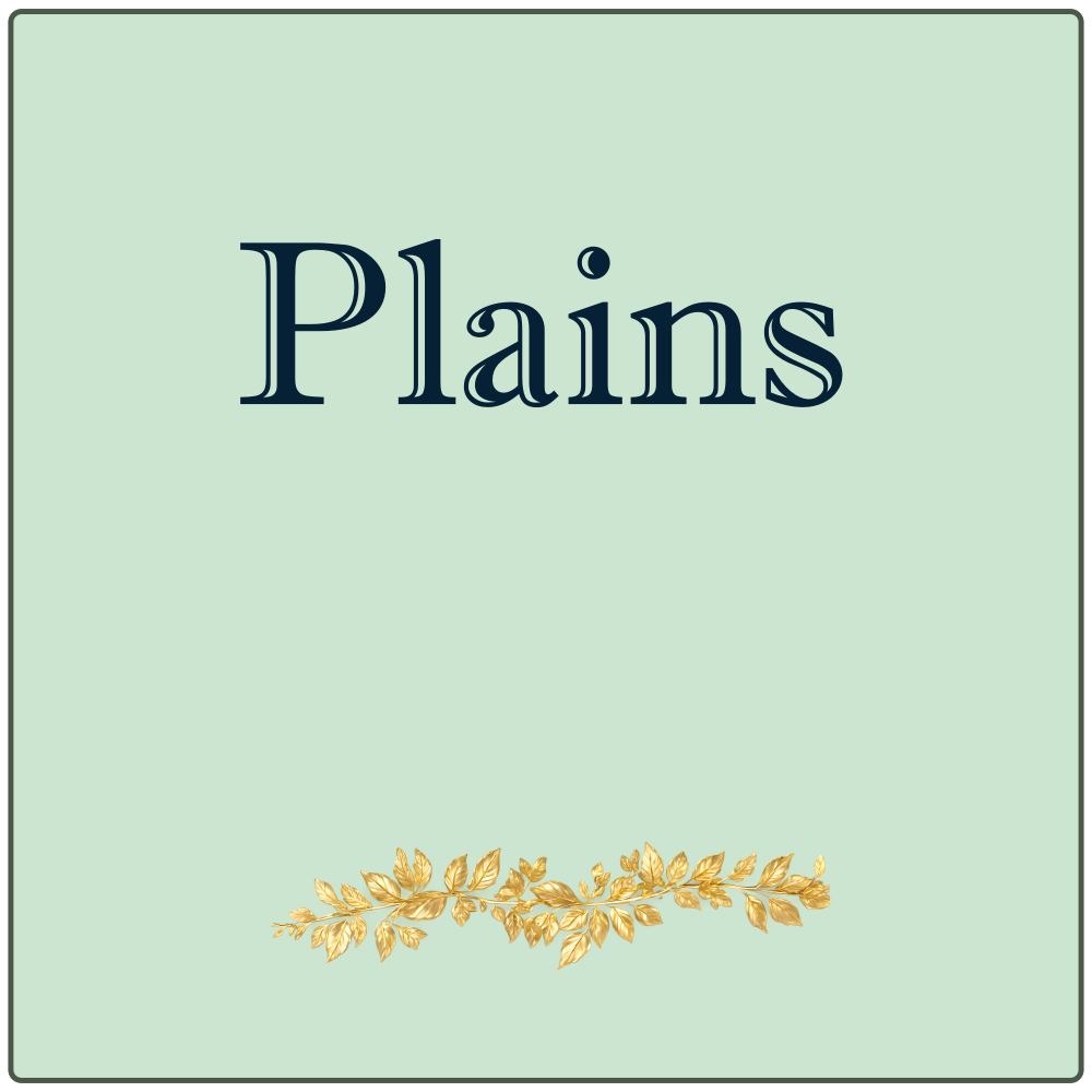 <!-- 001 -->Plains