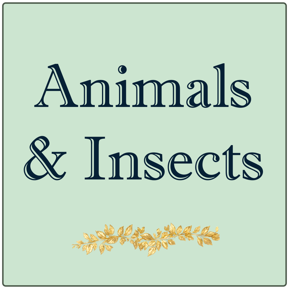 <!-- 006 -->Animals & Insects