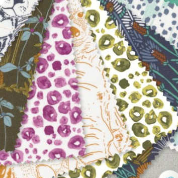 <!-- 0001 -->The Grassland Collection