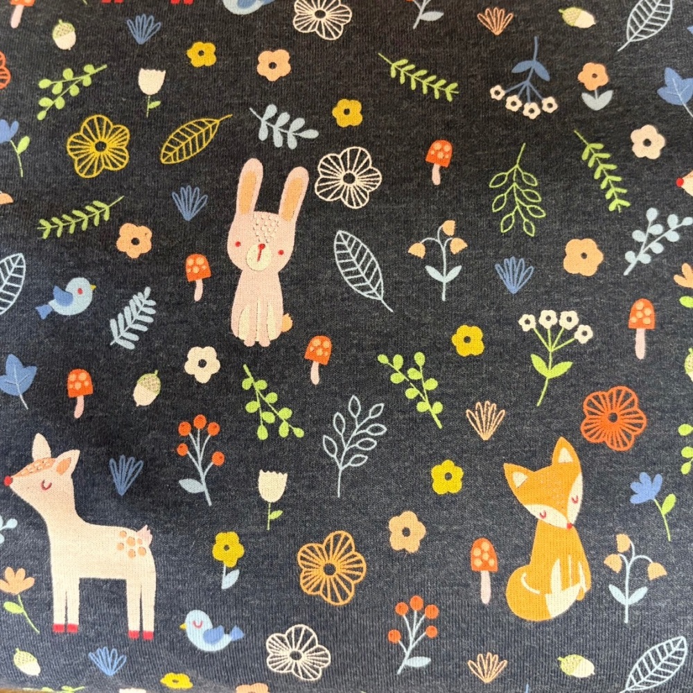 Dashwood  Jersey Knit - Forest Friends - 08919.005 - Per Half Metre