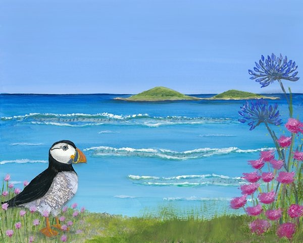 m_Scilly Puffin.jpg