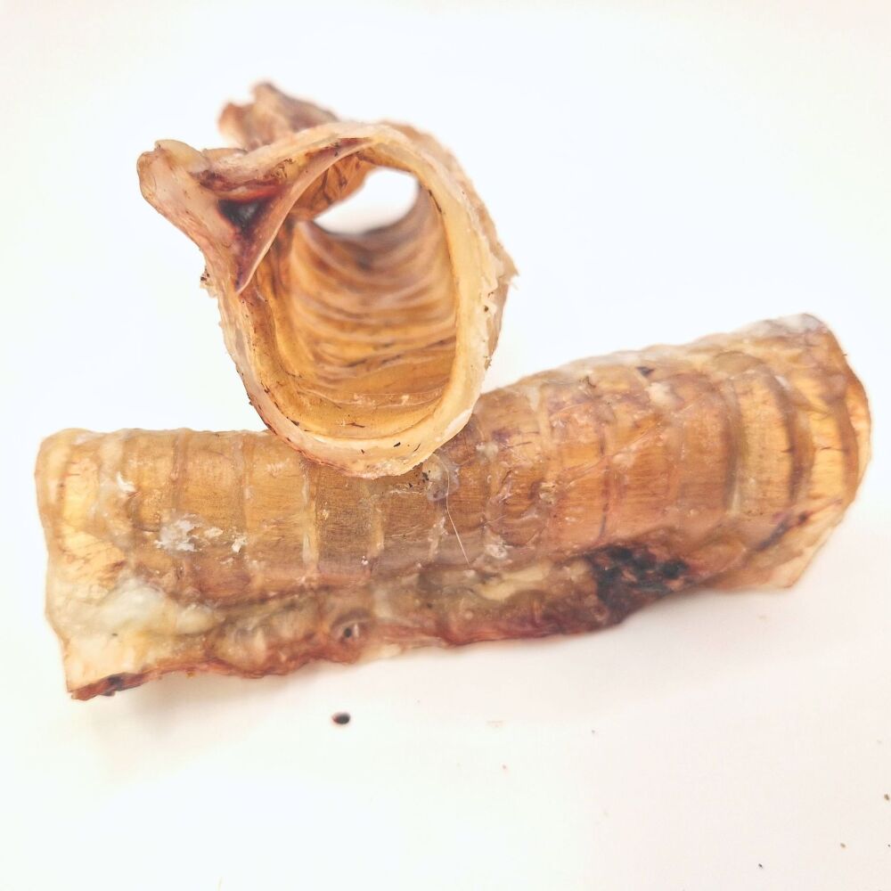 Beef Trachea Pieces - Pack of 3