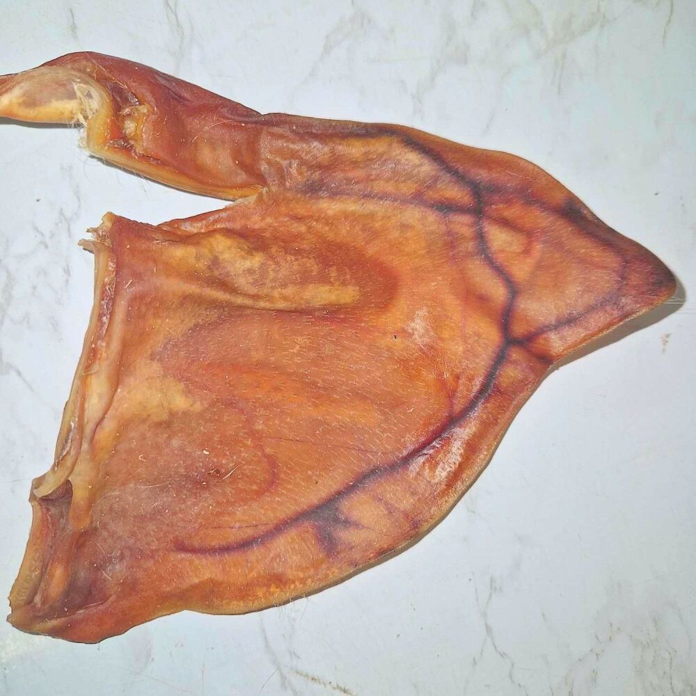 Whole Pigs Ear - Single