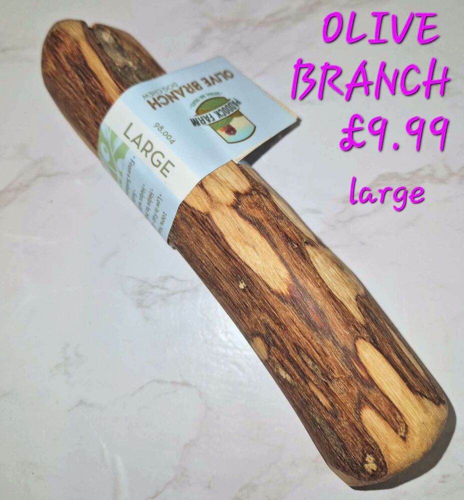 Olive Branch Large