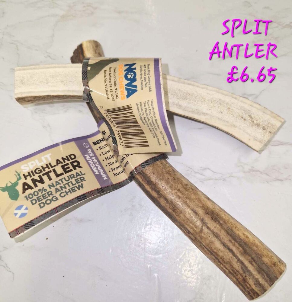Split Antler Medium