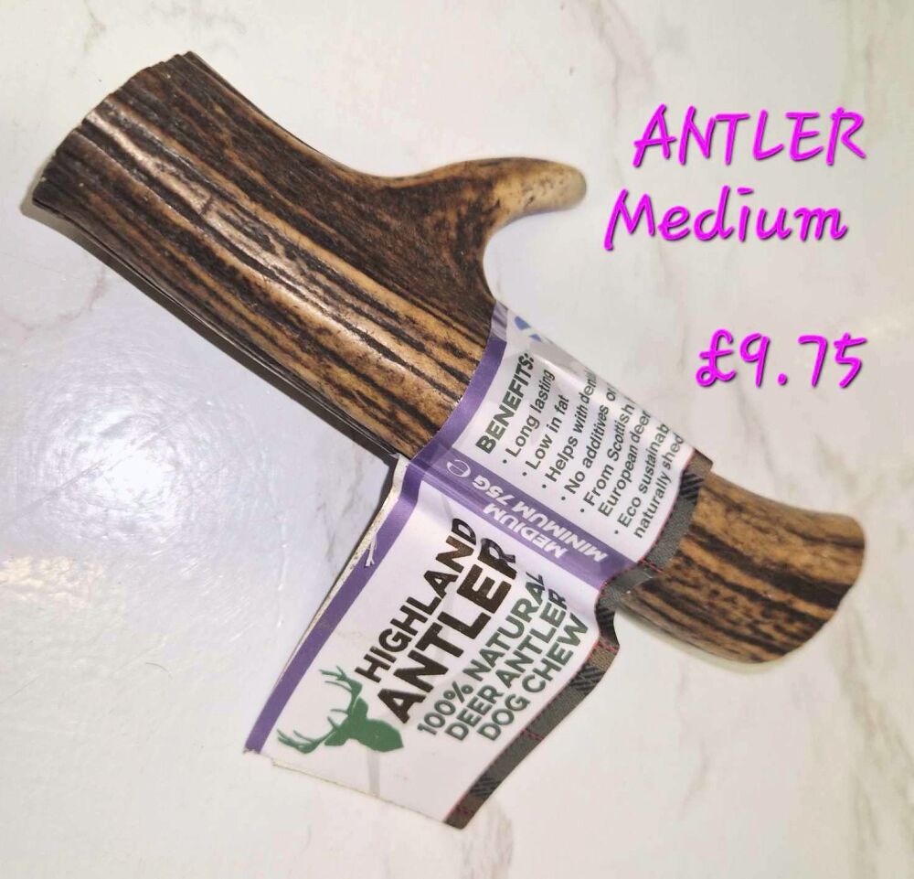 Antler Medium