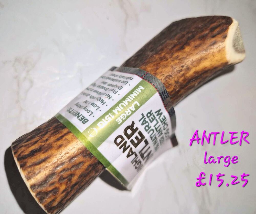 Antler Large
