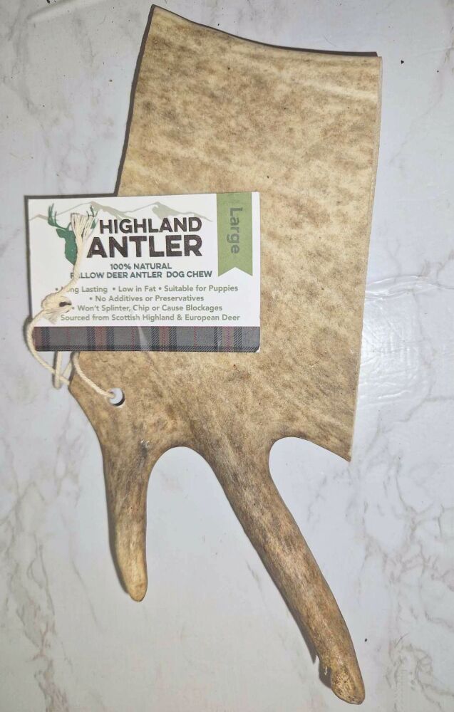 Fallow Antler Large