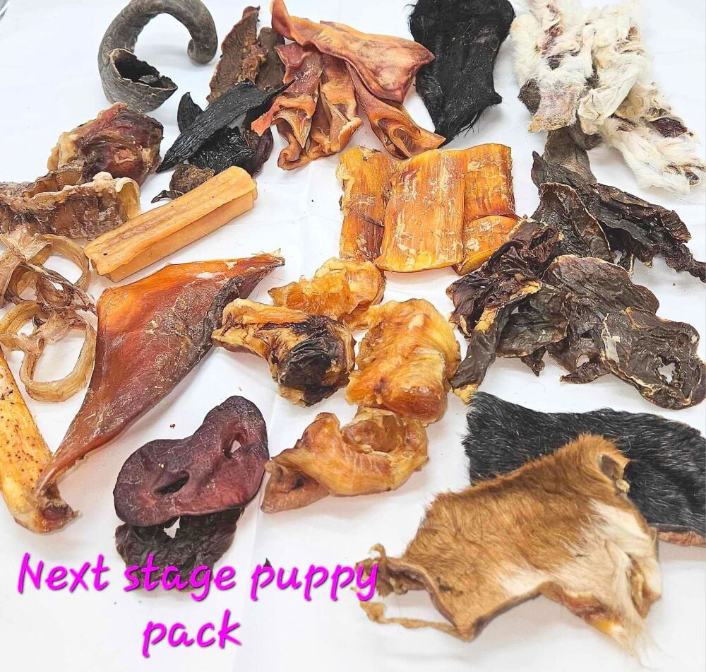 Next Stage Puppy Pack