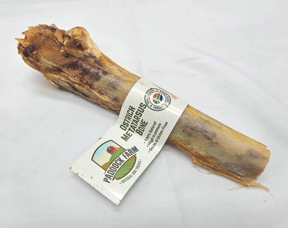 Ostrich Metatarsus Bone