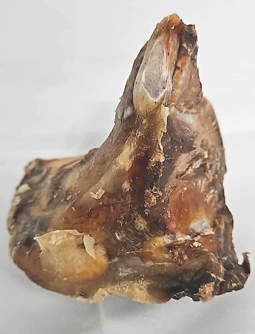 Beef Hip Bone